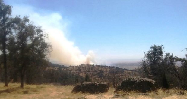 Hunter fire, as seen from a distance.