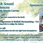 Earthing & Sound Experiences With Wonda Correia
