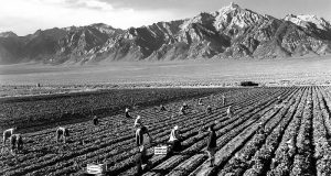 Image of field workers by Ansel Adams