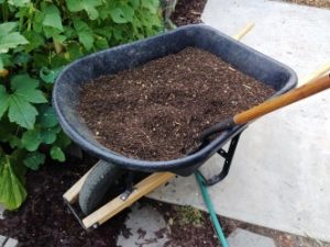 Picture of a wheelbarrow filled with dirt