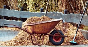 Picture of a wheelbarrow with mulch in it