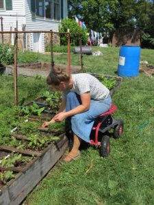 Picture of a woman gardening from a wheelchair. 