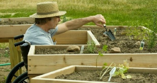 Picture of a man gardening.