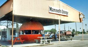 Picture of Mammoth Orange Food Stand.