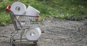 Picture of mini shopping cart full of toilet paper.