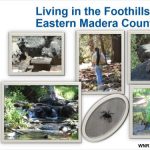 Lunch and Learn - Living in the Foothills