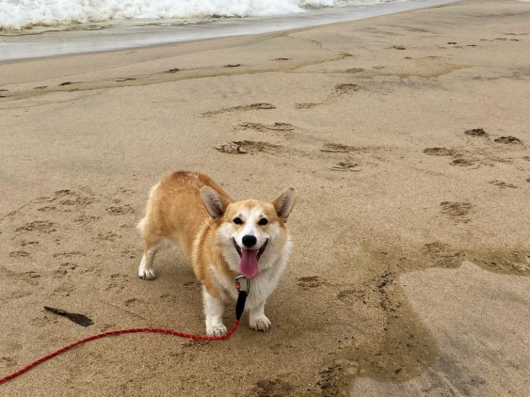 Escape with Sally & Fannie to Marina Dunes