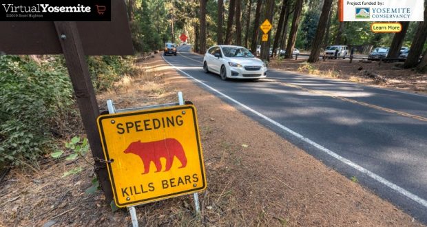 Image of a "Speeding Kills Bears" sign in Yosemite.