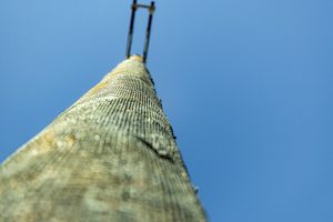 Image of a telephone pole. 