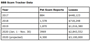 Image of a report/chart on pet scams. 