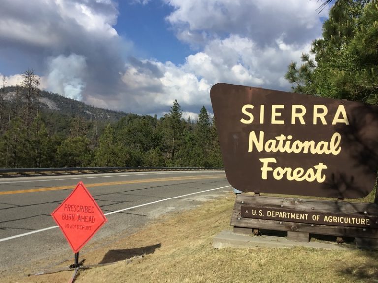 Bass Lake Ranger District Plans To Initiate Pile Burning