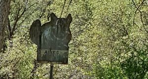Image of an old sign in the woods.