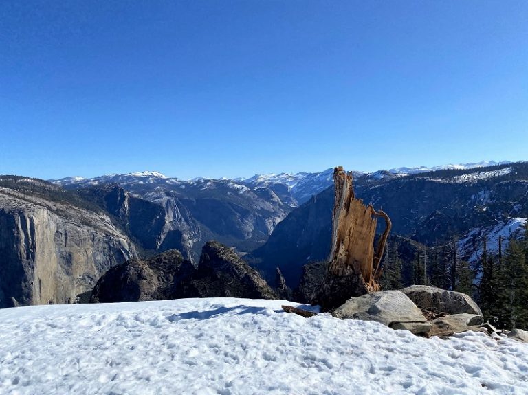 Snowshoe Loop From Badger Pass to Dewey Point