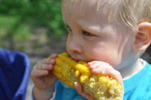 Image of a child eating corn on the cob. 
