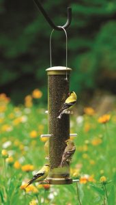Image of a bird feeder. 