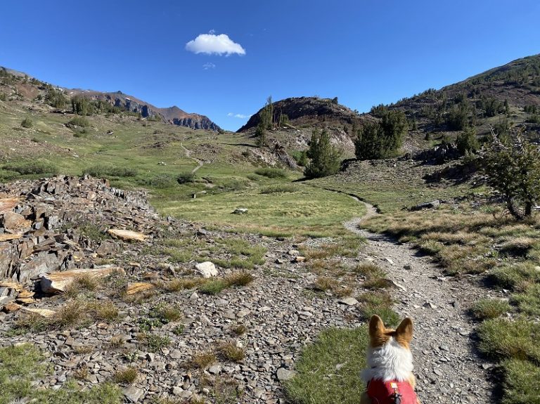 Hiking 20 Lakes Loop with Sally & Fannie