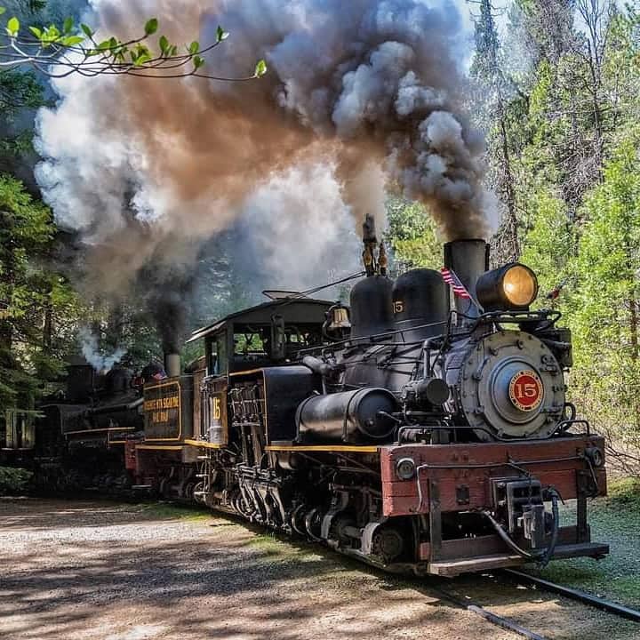 Pioneer Days at Yosemite Mountain Sugar Pine Railroad