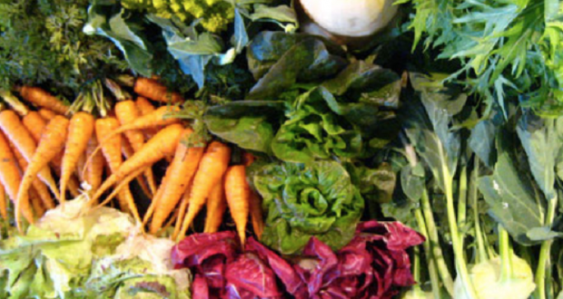 Image of winter vegetables.
