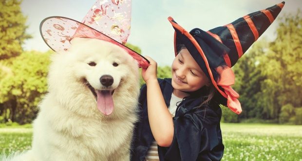 Image of a child and dog dressed up for Halloween.