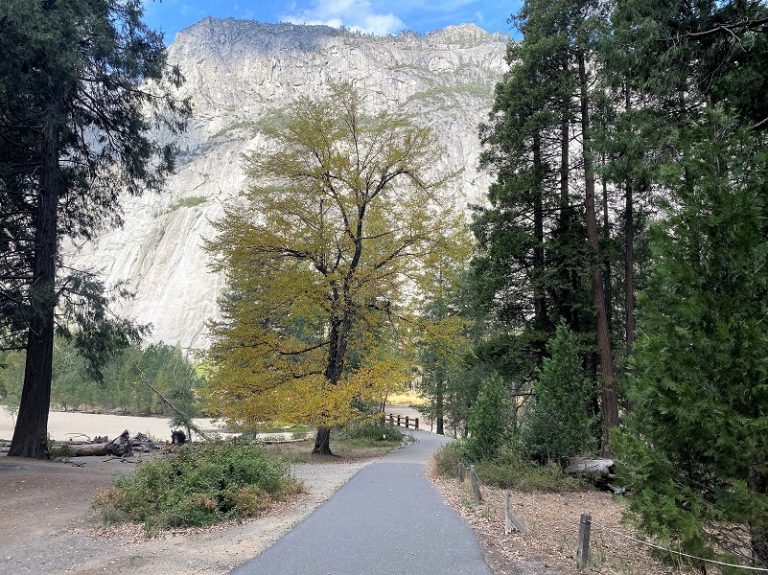 Early Leaf Peeping In Yosemite With Mom