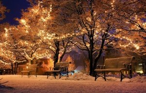 Image of houses in the snow with Christmas lights up.