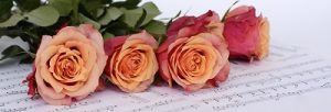 Image of pink roses on sheet music.