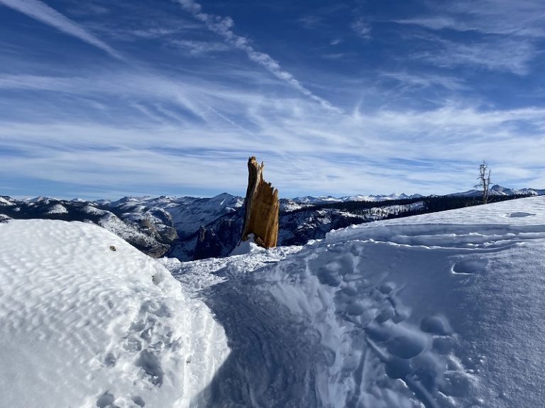 Snowshoeing From Badger Pass to Dewey Point Via Meadow Route