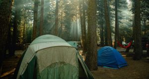 Image of tents in a forest.