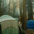 Image of tents in a forest.