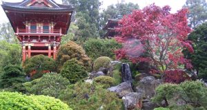 Image of the Japanese Tea Gardens in San Francisco.