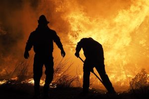 Image of two people trying to put out a very large brush fire with shovels.