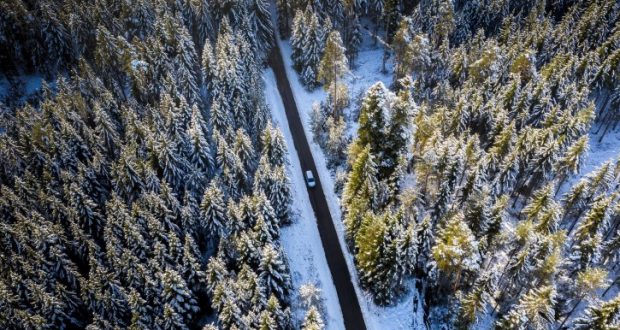 Image of a road through a snowy forest.