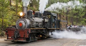 Image of the Yosemite Sugar Pine Railroad.