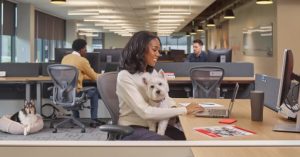 Image of a dog on a woman's lap in an office.
