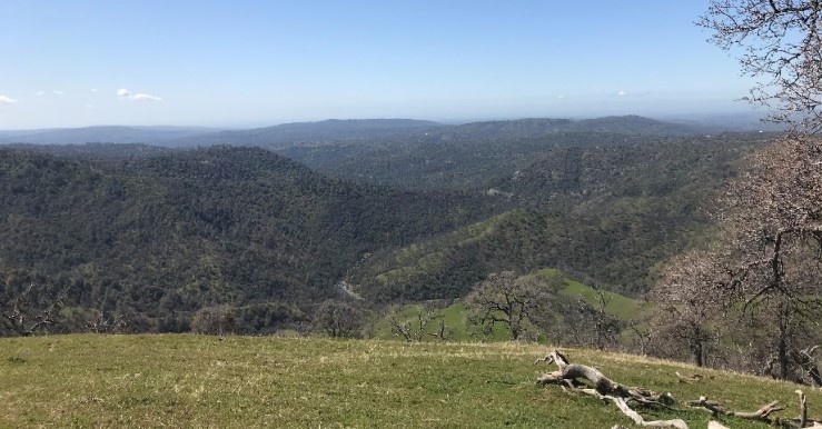 Sierra Foothill Conservancy Purchases Newly Protected Land - Sierra News Online