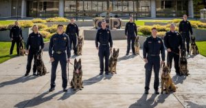 Image of police K9 dogs at graduation ceremony.