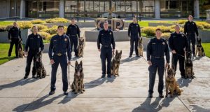 Image of police K9 dogs at graduation ceremony.