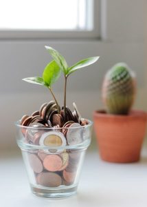 Image of a small plant growing out of a cup full of coins. 