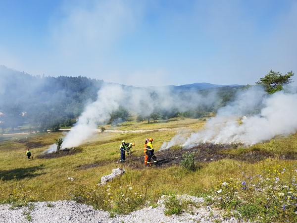 Image of firefighters putting out small fires in a meadow. 