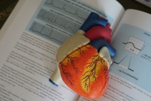 Image of a plastic human heart on top of a college textbook.
