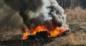 Image of a pile of burning brush.