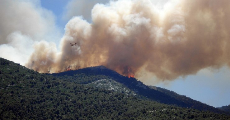 Image of a wildfire.