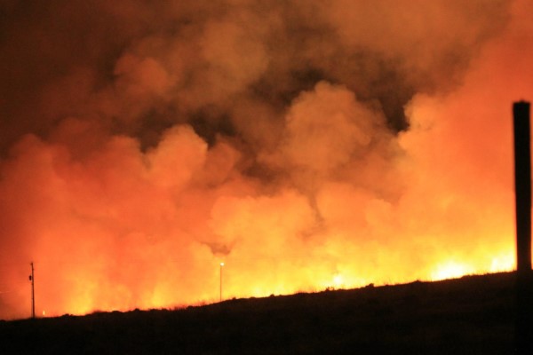 Image of a small brush fire at night. 