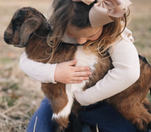 Image of a little girl hugging a baby lamb.