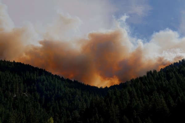 Image of a forest fire off in the distance. 