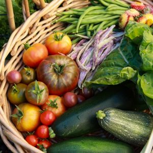 Image of a basket of tomatoes and zucchini. 