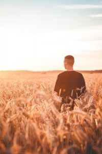 Image of a man walking through a wheat field with his back to the camera. 