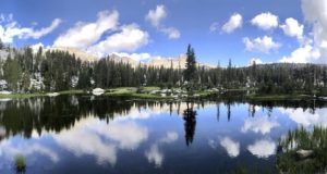 Image of the Sierra National Forest.
