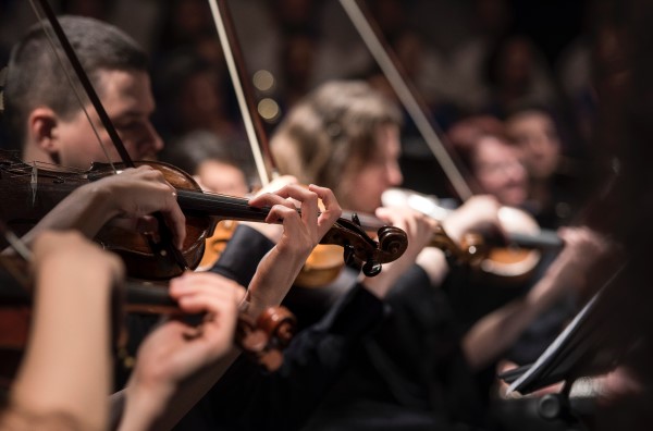 Image of violinists in an orchestra. 