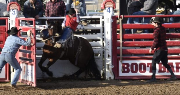 Image of a Fresno State bull rider.